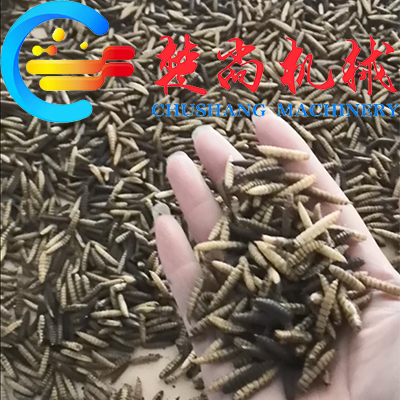 未标题-12.jpg